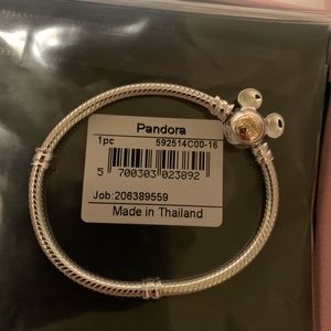 100th anniversary Disney pandora bracelet size 16
